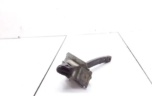 Ford Ranger Rear door check strap stopper