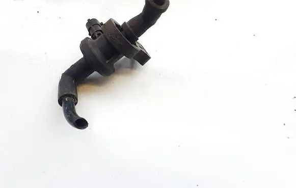 Volkswagen Polo VI Valve vacuum 13105091 55354472