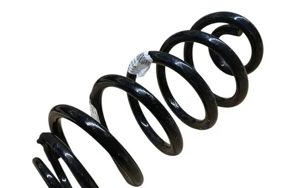 Rear coil spring