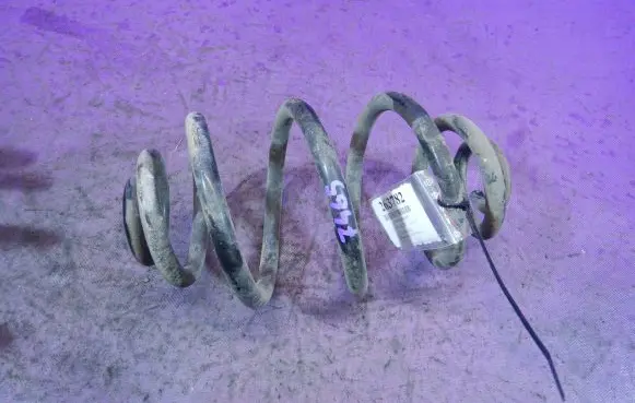 Rear coil spring