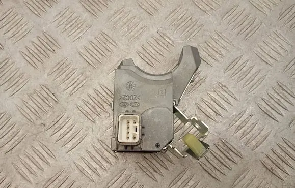 Steering wheel lock