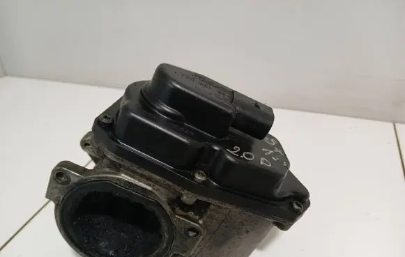 Volkswagen Golf Plus EGR valve 03G131501 216035358