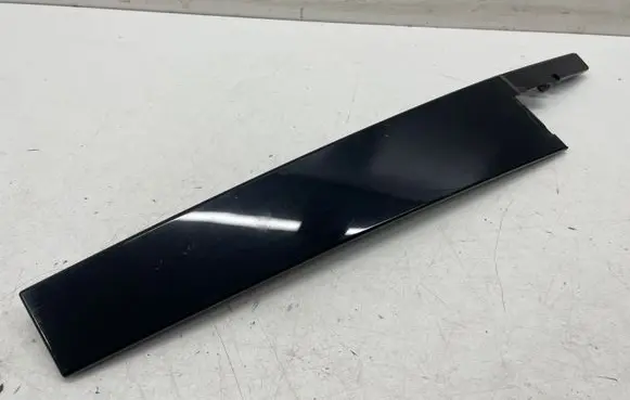 Seat Leon IV Other rear door trim element 5FA839901
