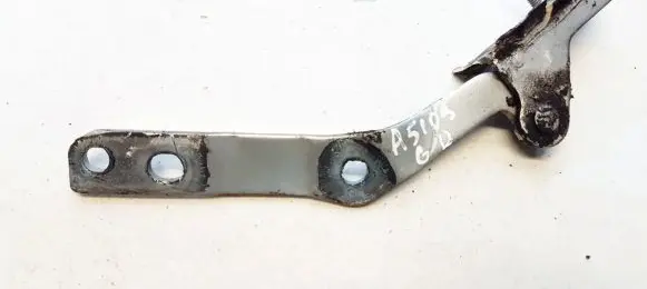 Tailgate/trunk/boot hinge