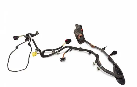 Volkswagen PASSAT B7 Rear door wiring loom 3C0971615