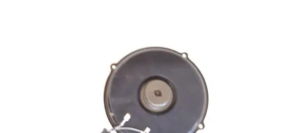 Porsche Cayenne (9PA) Front door speaker 191972714