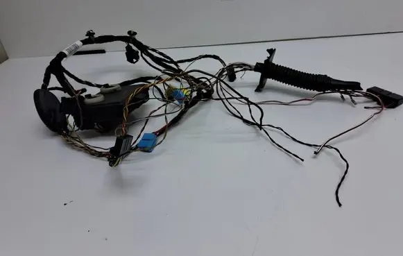 Volkswagen Golf VII Front door wiring loom 5G2971161AS 500959593K 500959593F
