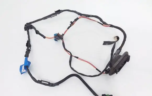 Rear door wiring loom