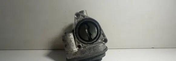 Volkswagen Golf IV Throttle valve 038128063G