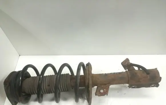 Nissan Juke I F15 Front shock absorber/damper