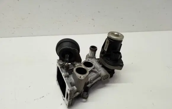 Volkswagen Tiguan EGR valve 0280751016