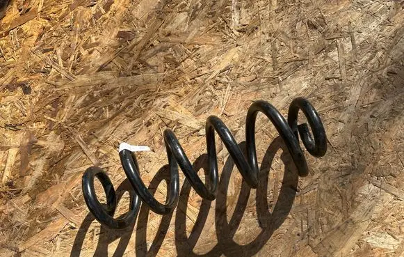 Rear coil spring
