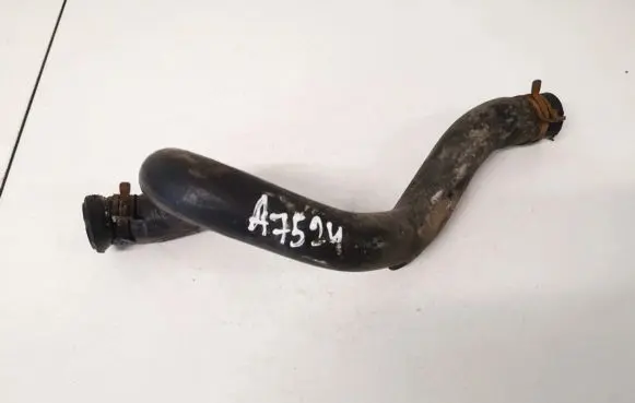 Renault Scenic I Engine coolant pipe/hose
