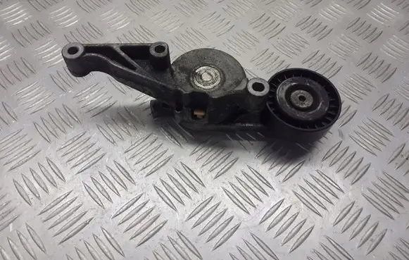 Skoda Octavia Mk2 (1Z) Alternator belt tensioner pulley 03G903315C