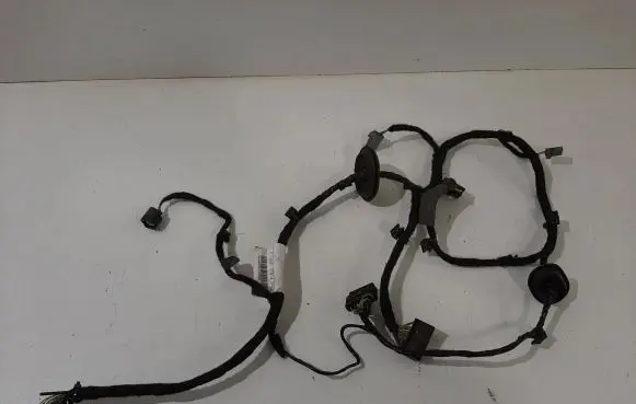 Rear door wiring loom