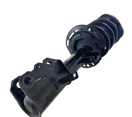 Ford Bronco Front shock absorber with coil spring LX6118K001JHD LX615310DNE LX613K155CNB