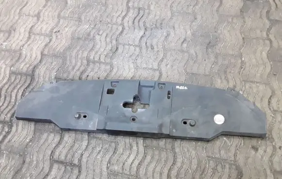 Engine bonnet/hood lock trim molding