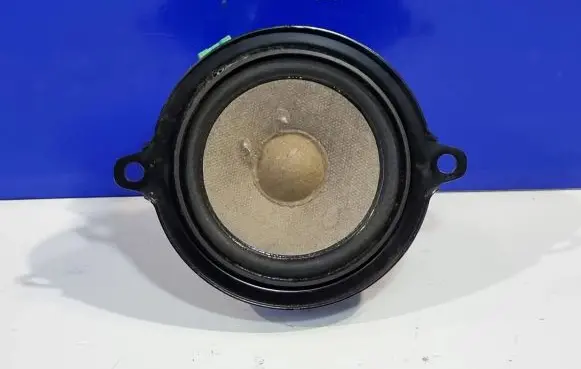 Panel speaker