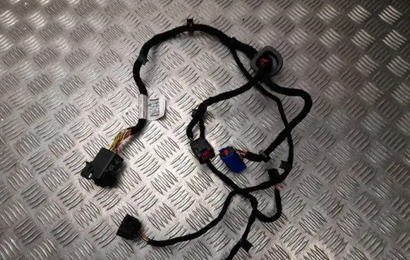 Front door wiring loom