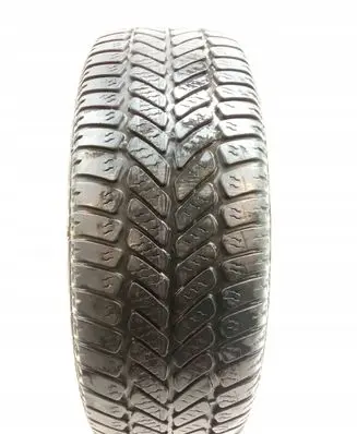 Fiat Punto (188) R14 winter tire 