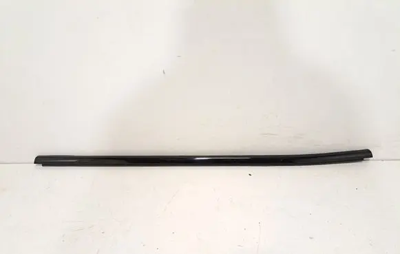 Rear door glass trim molding