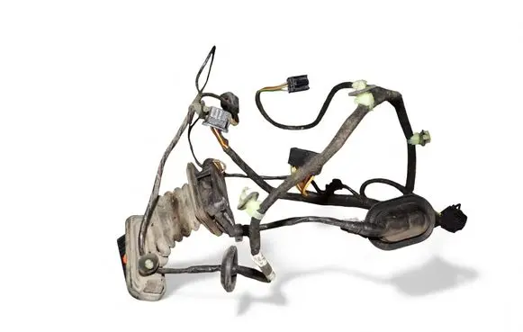 Volkswagen PASSAT B7 Rear door wiring loom 3C0971615