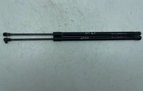 Opel Antara Tailgate strut 05532220813 95917169