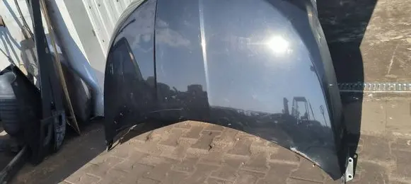 Engine bonnet/hood