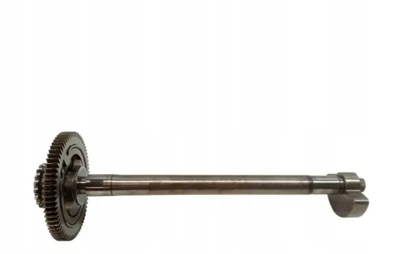 Porsche Macan (95B) Camshaft 06M103293BA