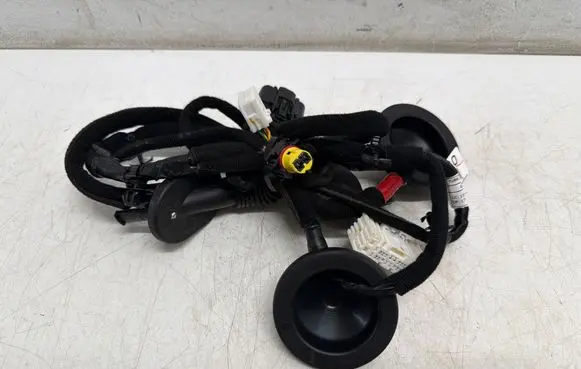 KIA Niro Rear door wiring loom 91660G5101