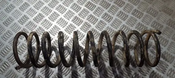 Rear coil spring
