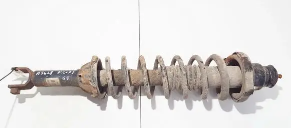 Honda Accord Rear coil spring