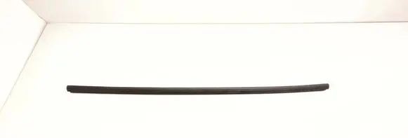 Peugeot Partner Rubber seal front door (on door) 