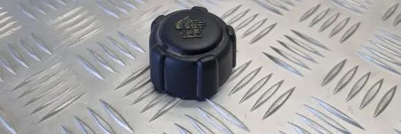 Renault Scenic II - Grand scenic II Coolant expansion tank/reservoir cap 