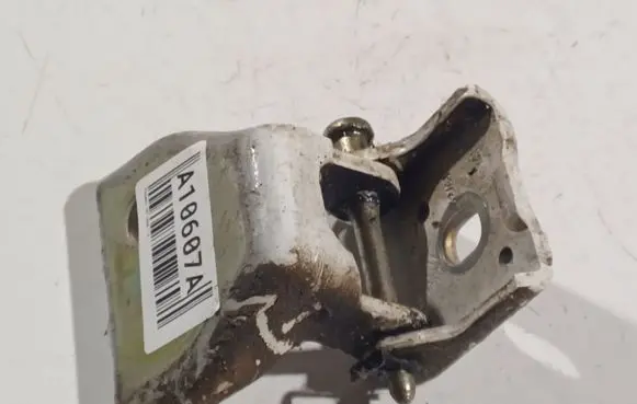 Rear door lower hinge