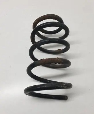 Rear coil spring