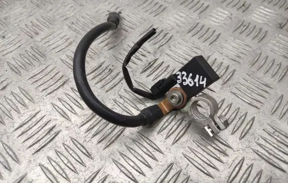 Mercedes-Benz E C207 W207 Negative earth cable (battery) A1665420218