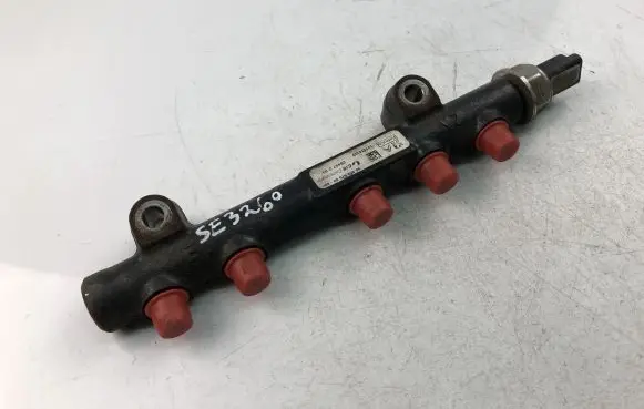 Citroen Berlingo Fuel injector 9685297580