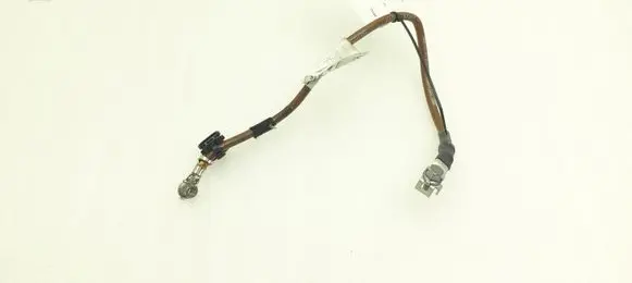 Negative earth cable (battery)