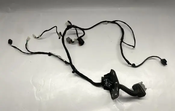 Dodge Charger Rear door wiring loom P68084156AG 68249661AD