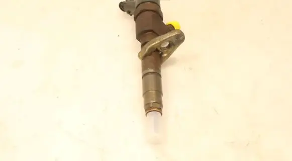 Renault Megane II Fuel injector 0445110110B
