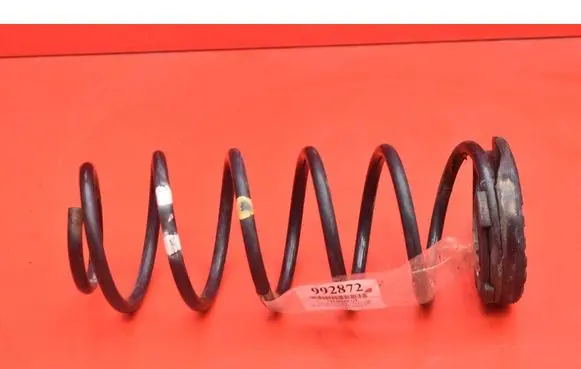 Rear coil spring