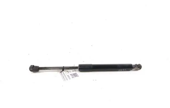 Tesla Model 3 Tailgate strut 109156000B