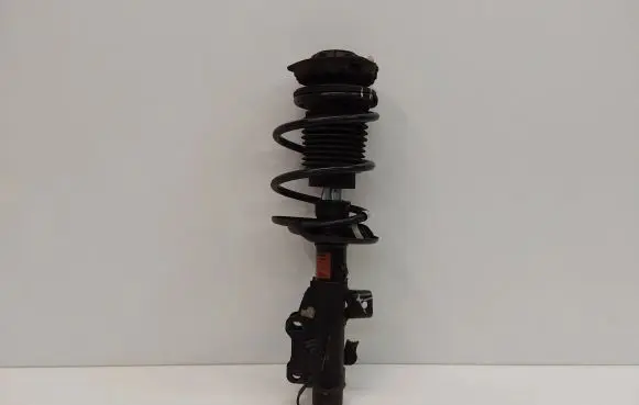 Chevrolet Camaro Front shock absorber with coil spring 84115887 812952729 2210400000000L