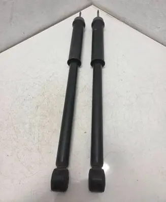 Renault Arkana Rear shock absorber/damper 