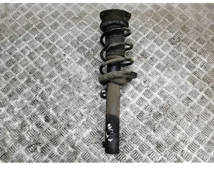 Volkswagen Tiguan Front shock absorber with coil spring 5QF412022BK