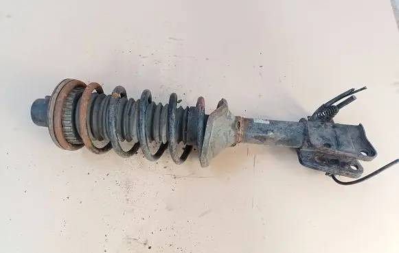 Land Rover Freelander Rear shock absorber with coil spring 22103900