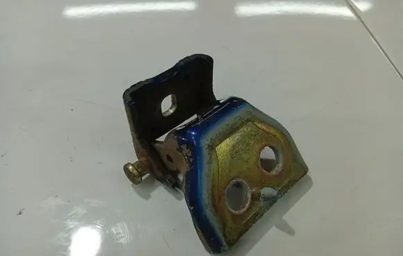 Peugeot 307 Rear door lower hinge 
