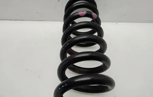 Rear coil spring