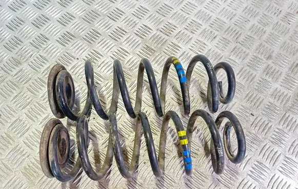 Rear coil spring